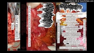 Necrotizing Fasciitis - Total Gorenoise Annihilation (Full Tape)