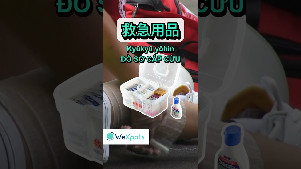 TIẾNG NHẬT VỀ  NHU YẾU PHẨM | WeXpats TV