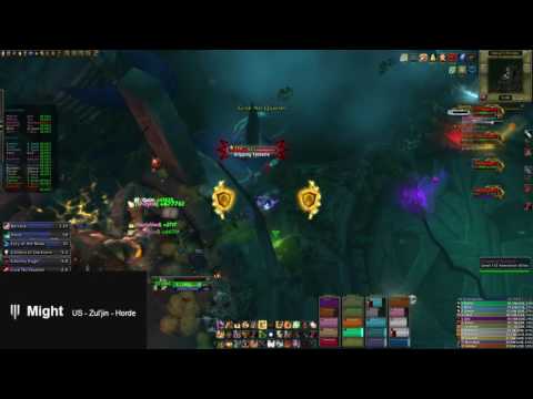 Might vs Mythic Helya | Protection Paladin PoV | US 16 Kill