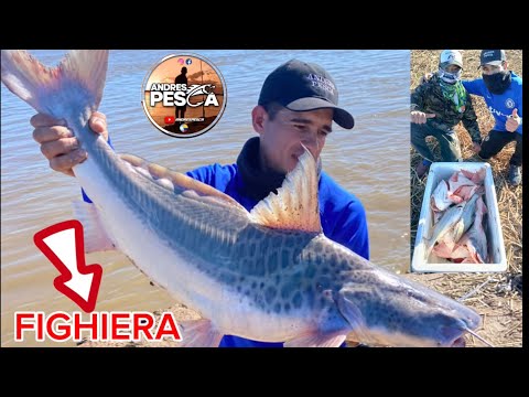 “PESCON” FIGHIERA LUGAR DE BESTIAS 🐟🎣🍀#pesca #pescasub #fishing #carretesdepesca #carp #amigos 