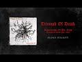 Triumph Of Death - Blood Insanity (Live - Official Audio)