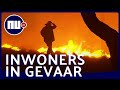 Inwoners Canberra direct in gevaar door ongecontroleerde branden | NU.nl