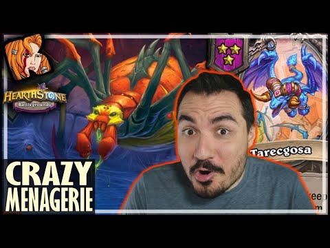 TARECGOSA MENAGERIE IS CRAZY! - Hearthstone Battlegrounds