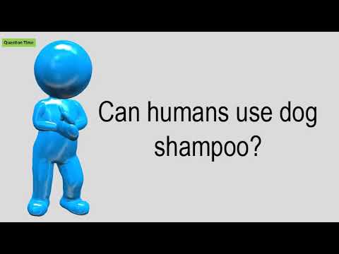 Can Humans Use Dog Shampoo?