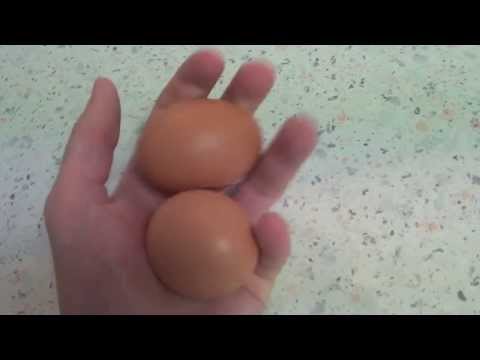 Eggy Sluts #5 - HowToBasic