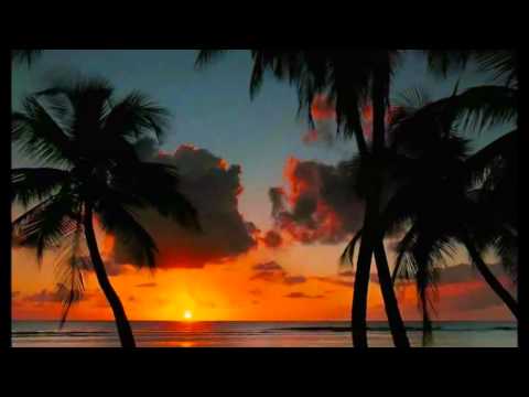 ENIGMA SIGUIENDO AL SOL  ( FOLLOWING THE SUN )