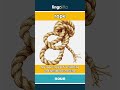 rope - a thick, strong string made... video thumbnail