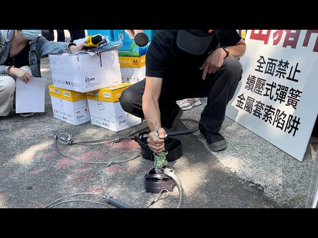 Activists use umbrella to show dangers of wild boar snares