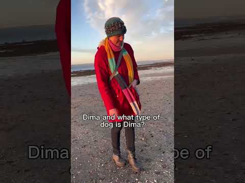 ‘Meet Dima, she’s the boss!’ ~ Love Harlso 🐾 #dog #photography #jackrussellterrier