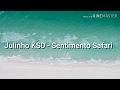 Julinho KSD Sentimento Safari LETRA