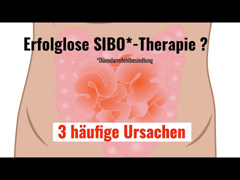 SIBO (small intestinal bacterial overgrowth) therapy without success - my doctor's recommendation