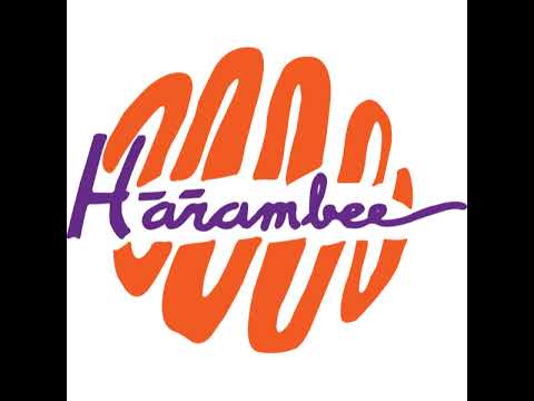 Harambee HS1 -ROOT Twente '05 HS1