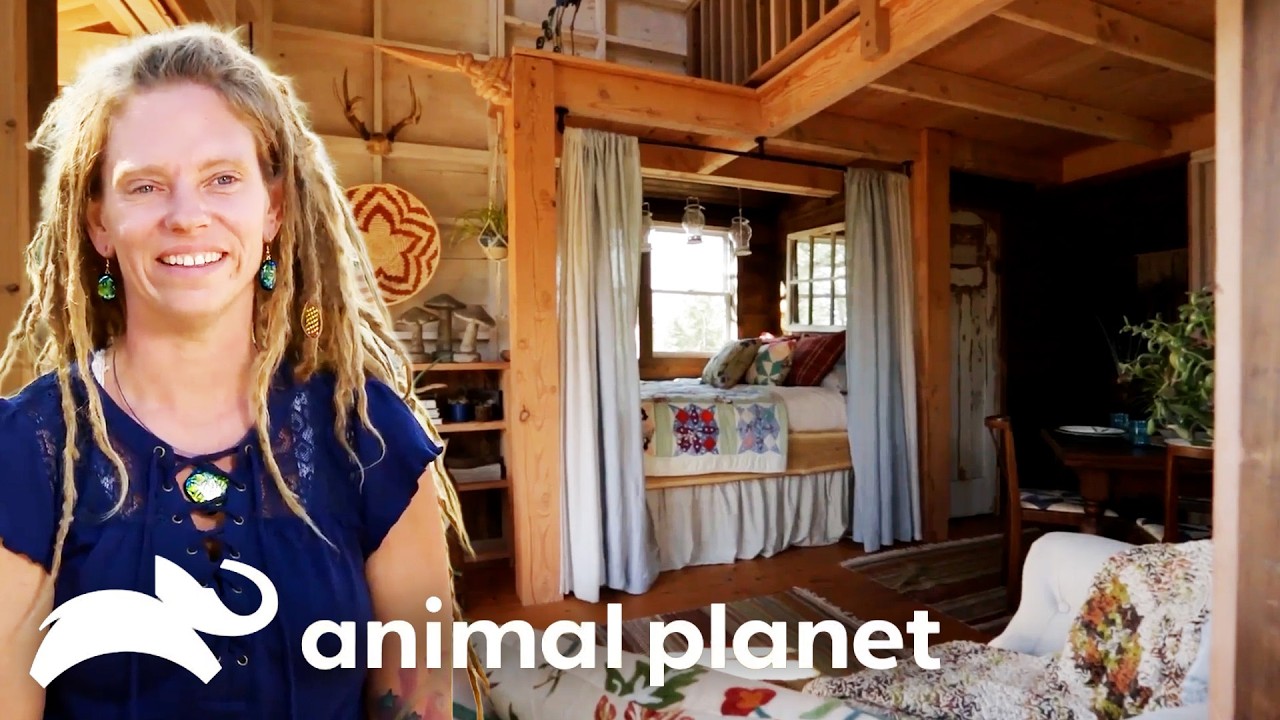 🔴 WATCH NOW: Self Care in the Sky | Treehouse Masters | Animal Planet