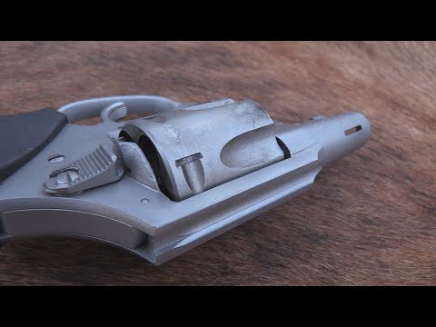 Charter Arms Bulldog Boomer  .44 Special