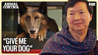 show video image in three sizes