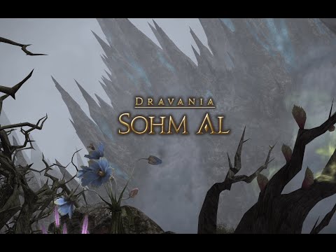 Final Fantasy XIV 3.0: Playthrough Part 90. Mourn In Passing - Sohm Al