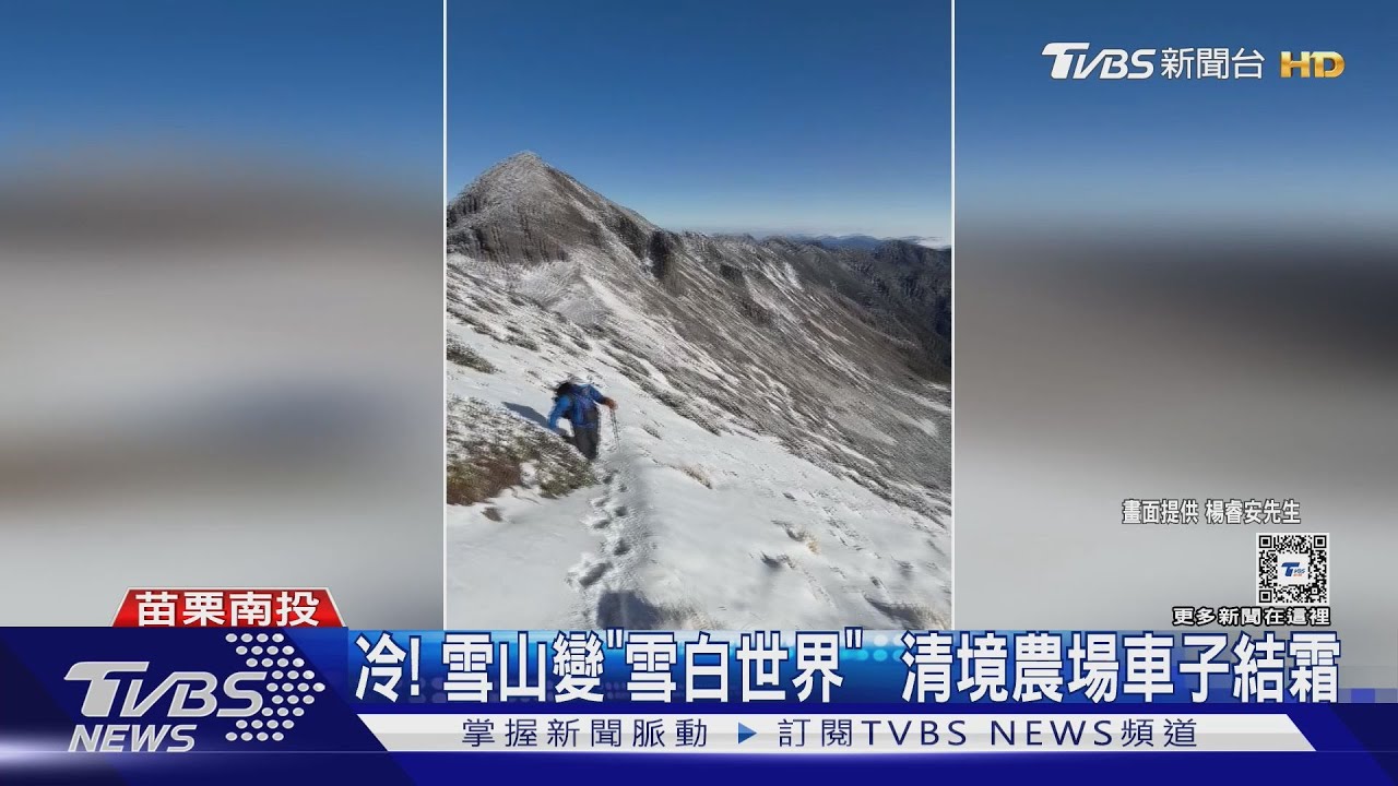 冷!雪山變「雪白世界」 清境農場車子結霜
