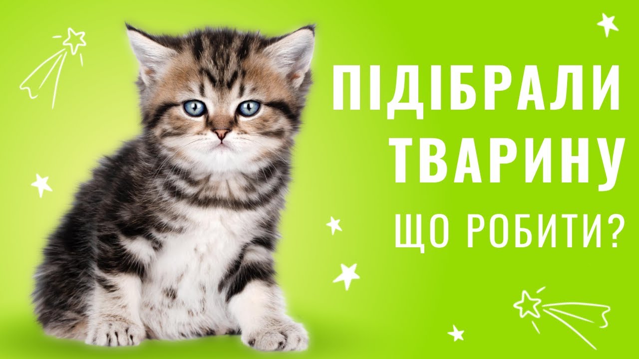 YouTube video preview