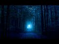 Old Souls ◈ HANS ZIMMER
