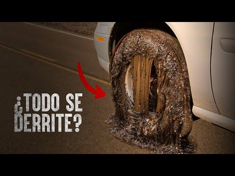 Cómo Sobrevivir: Cruzando a pie el desierto de Sonora