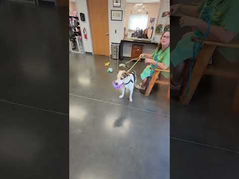 Lateef holding his new stuffed animal and Lemon walking around saying hi to everyone!