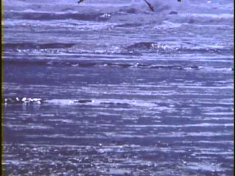 Duet With The Nothern Sky - Sleepy Sun