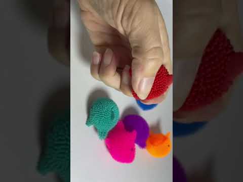 Mini puffer dolphin fidgets