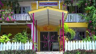 Calipso Apartments in Bocas del Toro