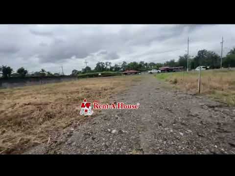 Imagen de Venta de Lotes y Terrenos en Rita - Pococí Rita - LIMÓN