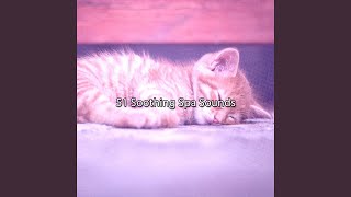 Reconcile With Sleep