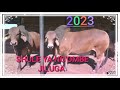 SHULE YA NG OMBE JILUGA FT JANZULA UJUMBE WA MAJIMALEFU 6 2 2023