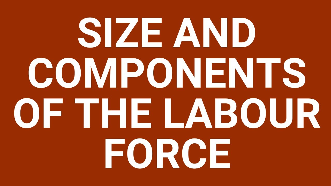 Size and components of the labour force