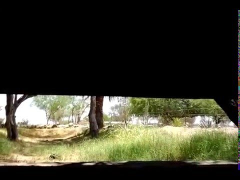 Open oem y pipe 216/220 114 cam