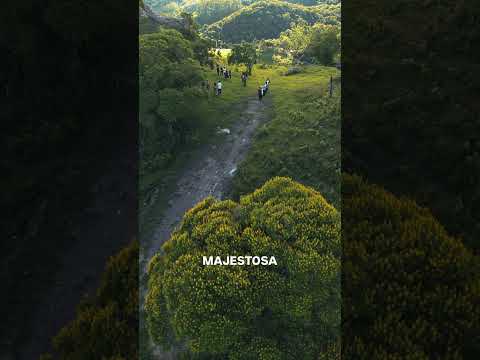 🏛️ Nossa maior herança: A Natureza!