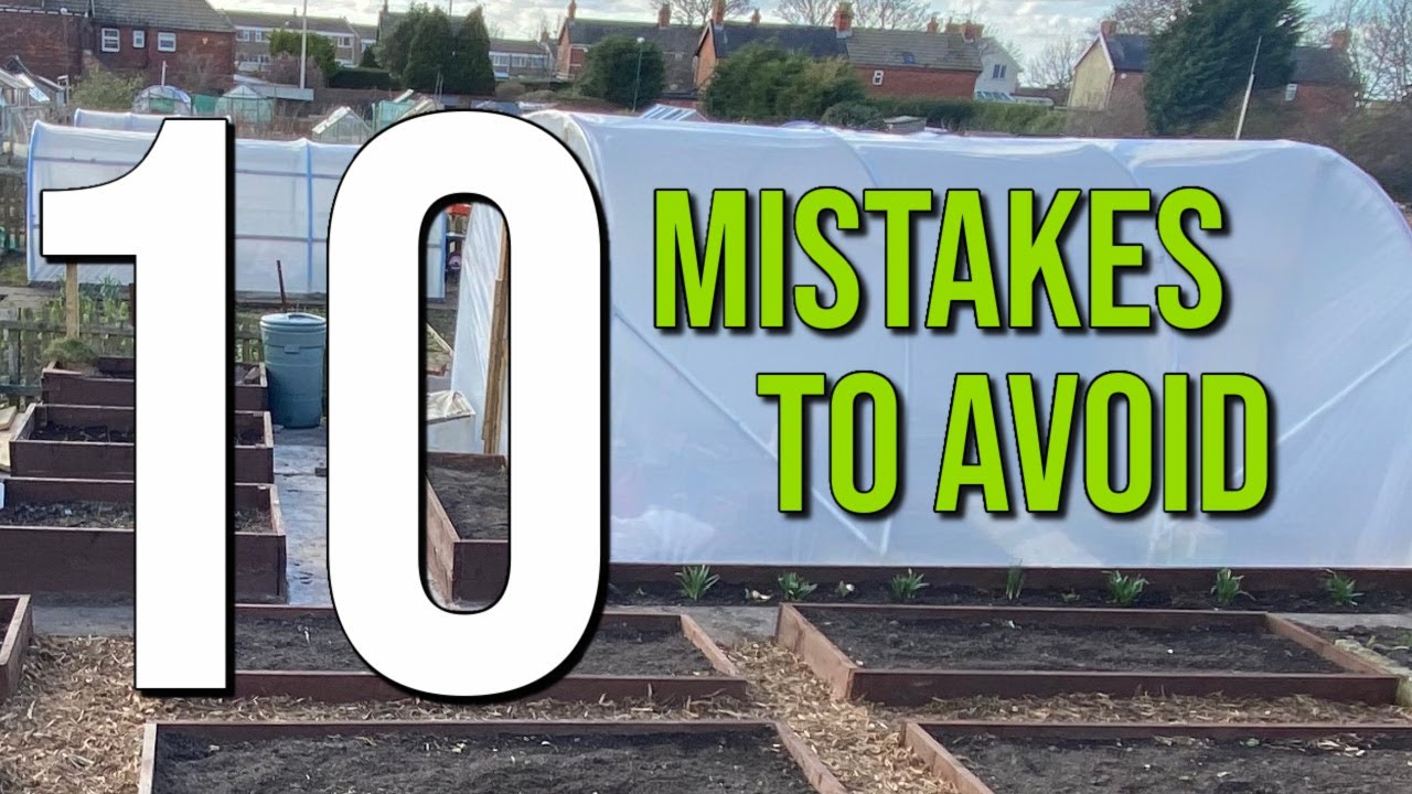 10 Tips and Mistakes To Avoid When Buying A Polytunnel