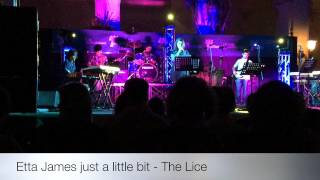 Etta James Just a little bit-The Lice