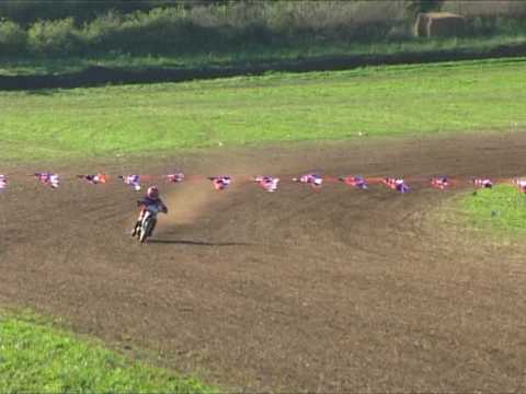 Danebury Grasstrsk 2008