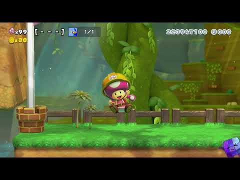 Super Mario Maker 2 🔧 Endless Challenge 7977 - 7984