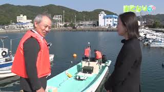 動画のサムネイル