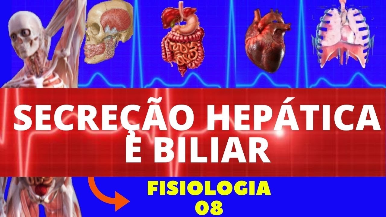 SECREÇÃO HEPÁTICA E BILIAR (FISIOLOGIA HUMANA) - FISIOLOGIA DA SECREÇÃO HEPÁTICA E VESÍCULA BILIAR