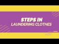 Seth Laundry Vid