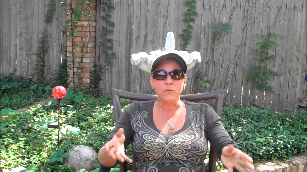 Ultimate Reset preparation Day 1