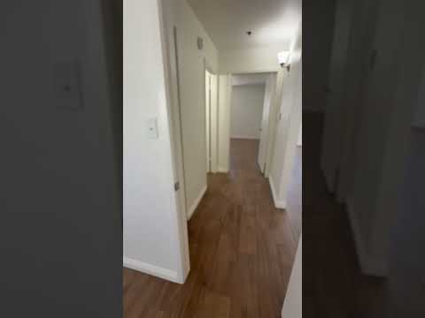 Magnolia - Video 2 of 2