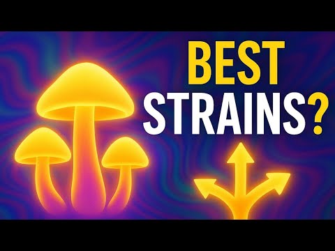 Which Strains of Magic Mushrooms are Best For You?