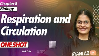 One Shot Lecture | Chp - 8 | Respiration and Circulation | Gyanlab | Anjali Patel #oneshotlecture