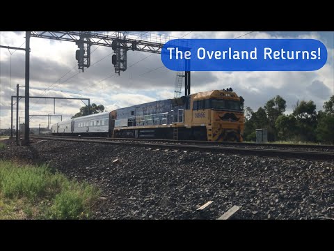 The Overland Returns! - January 2021