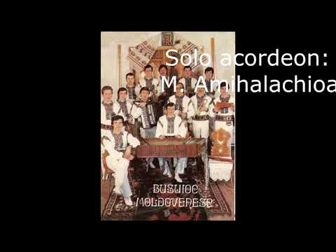 Orchestra de Muzica Populara - Busuioc Moldovenesc & Mihai Amihalachioaie - Hora veche - anul 1988