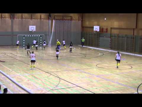 U18w PostSV / Neudorf - SV Arminen 4:0 (17.02.2013)