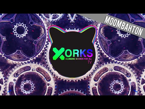 DJ ANI + Oneshot - Canibal