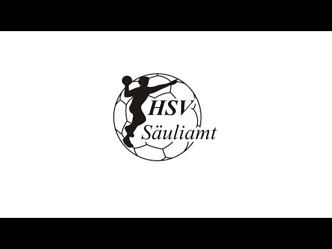 ZHV - Cupfinale 2016 - Männer - HC Küsnacht vs SG Horgen (33:25)